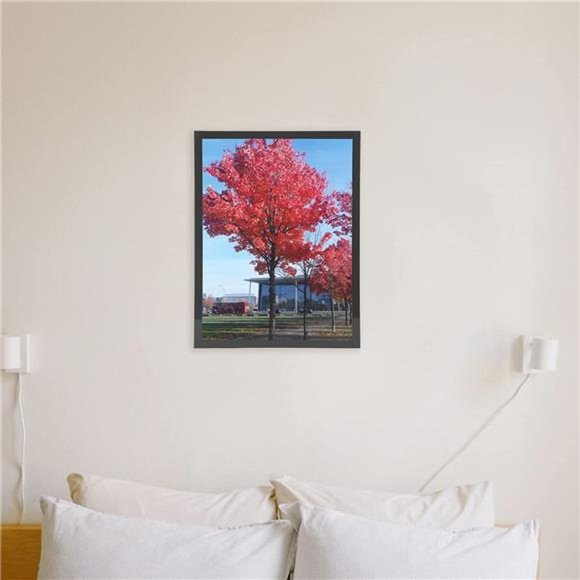 8.5 by11 Picture Frame Black 8.5x11 Diploma Frame Certificate Document Frame Set - Picture 4 of 6